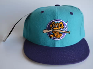 Charleston RiverDogs cap front