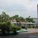 View album