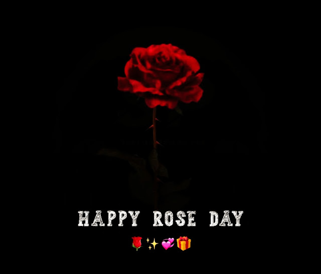 Rose Day Images For Friends