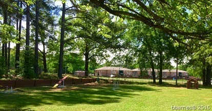 Dog Park 04172015