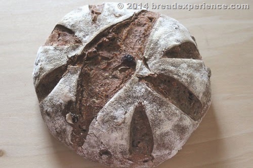 5-Grain Loaf with Walnuts & Cranberries