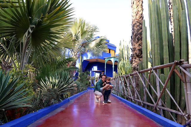 jardines de Majorelle Marrakech a golpe de objetivo