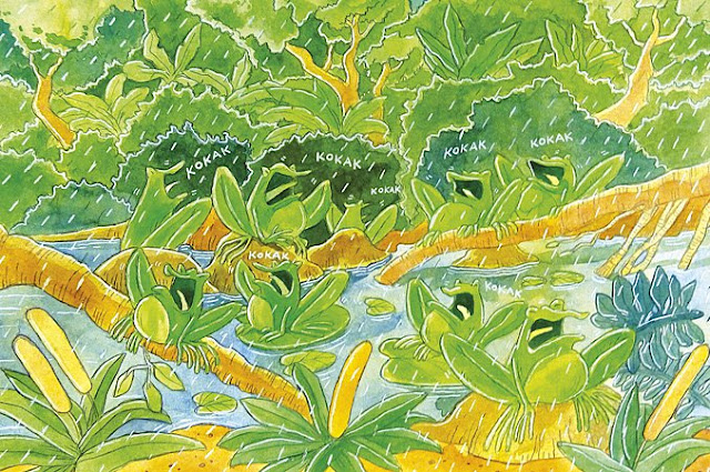 Drawing of frogs in river while raining at the forests