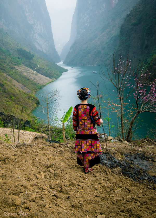 Photo by Nguyễn QuangThái