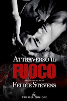 https://www.amazon.it/Attraverso-fuoco-Inferno-ritorno-Vol-ebook/dp/B0872GRHR4/ref=sr_1_8?dchild=1&qid=1587843812&refinements=p_n_date%3A510382031%2Cp_n_feature_browse-bin%3A15422327031&rnid=509815031&s=books&sr=1-8