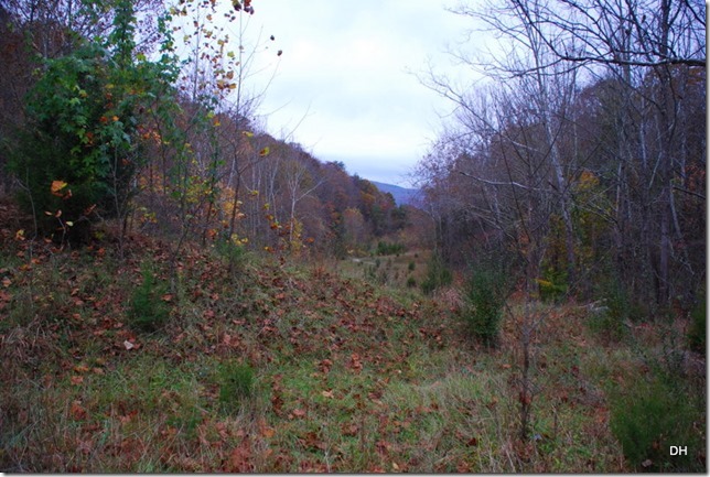 10-31-15 Cumberland Gap Saddle Hike (32)
