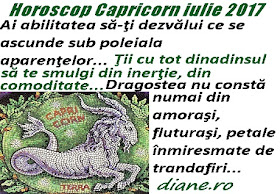Horoscop iulie 2017 Capricorn