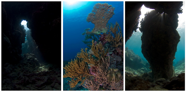  Pulau Samada Besar berada di bab utara Kabupaten  Pulau Samada Besar - Wisata PULAU TALIABU (Provinsi Maluku Utara)