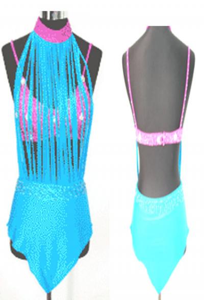 Ballroom Latin Fringe Dress6