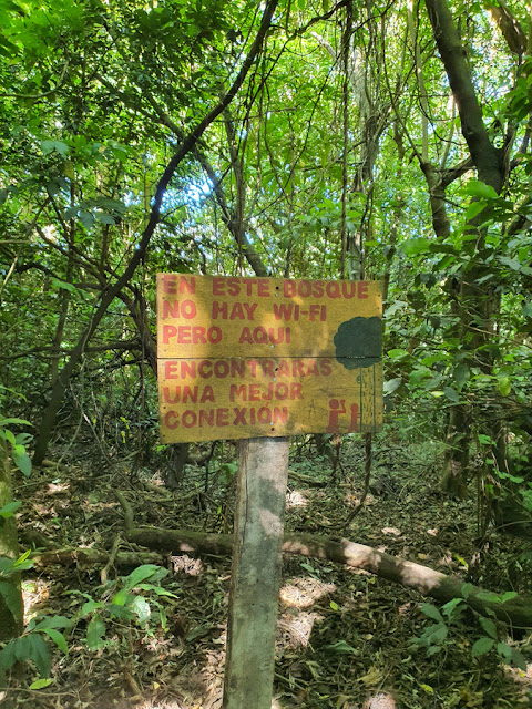 Vulcão Santa Ana El Salvador