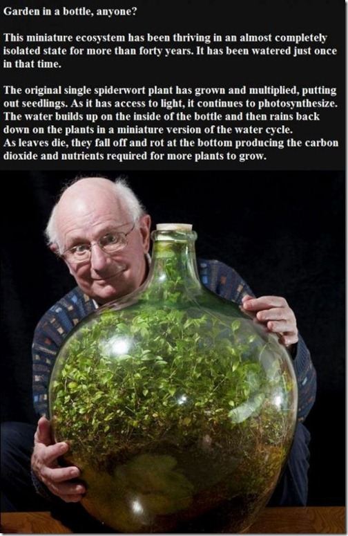 great_images_that_go_together_with_astounding_facts_640_high_04