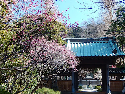  常立寺