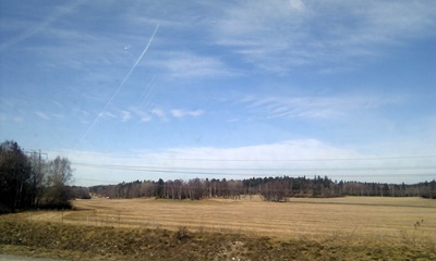 IMAG0210