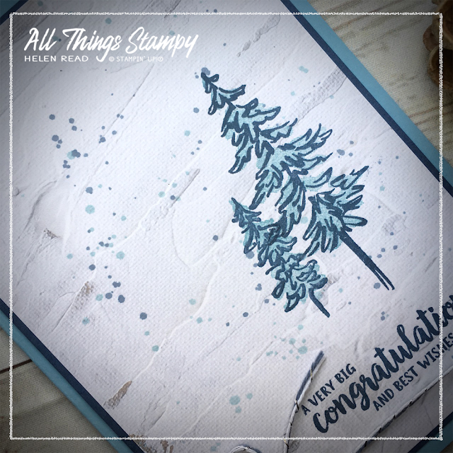 In The Pines Stampin Up