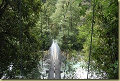 Moraine Swing Bridge