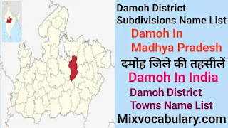 Damoh district subdivisions list