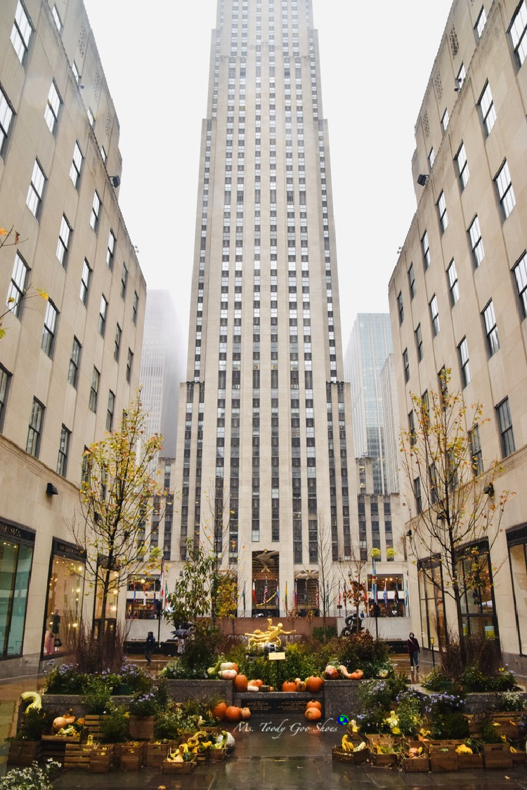 The Channel Gardens at Rockefeller Center in NYC, are beautiful no matter the season. | Ms. Toody Goo Shoes