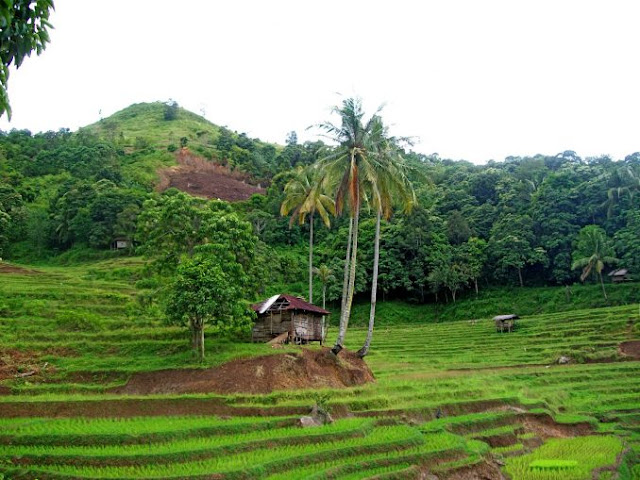 Bukit Brukoh Pamekasan.