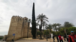 Córdoba, Alcázar de los Reyes Cristianos.
