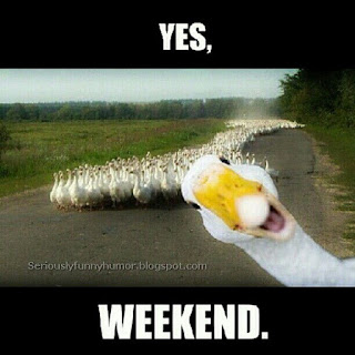 Yes, weekend - ducks photo.