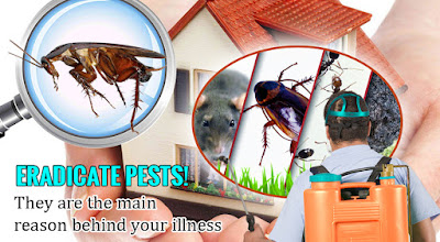 pest control services