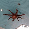 【兒島觀光港】候船室天花板有大章魚　搭船欣賞瀨戶大橋壯觀景色