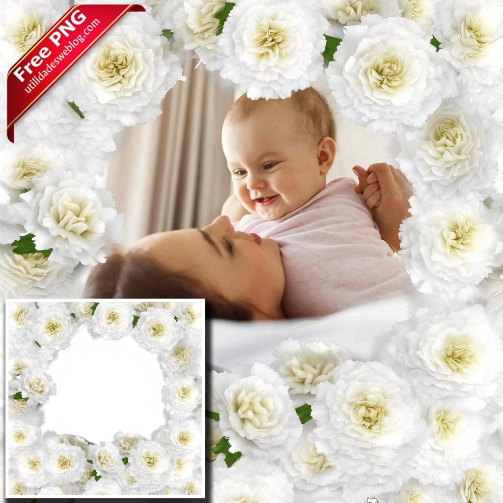 marco para fotos con flores de claveles blancos en png con fondo transparente para descargar gratis