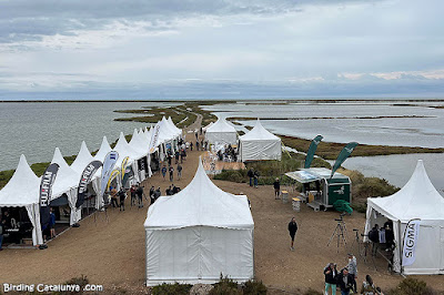 Delta Birding Festival 2022