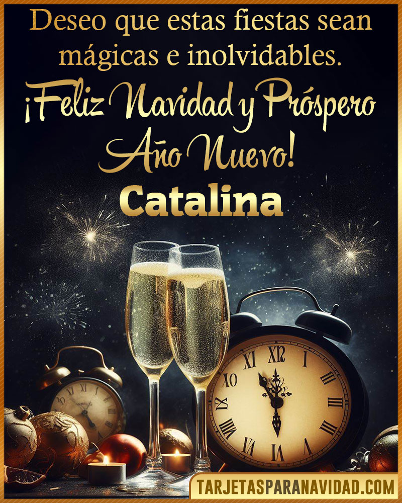 Feliz Navidad y Próspero Año Nuevo Catalina