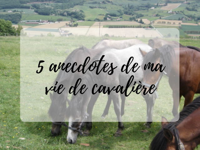 Anecdotes cavalières