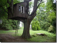 Tree_House_-3