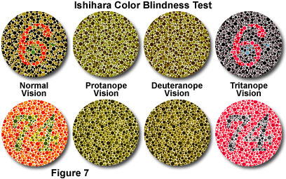 Enchroma Color Blindness App Eyedolatry Coloring Wallpapers Download Free Images Wallpaper [coloring654.blogspot.com]