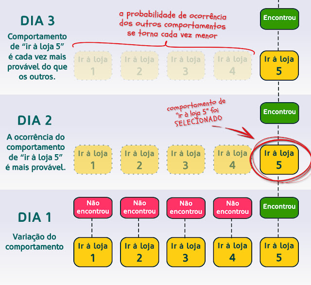 Exemplo de reforço positivo: a probabilidade do comportamento aumenta.