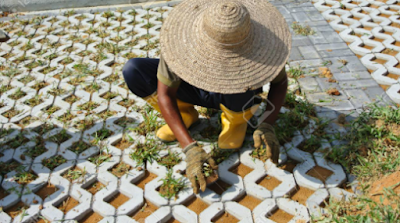 Gambar grass Block Bekasi