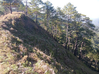 Pinoy Solo Hiker - Mt. Ugo Traverse