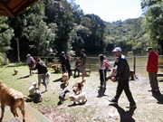 Patas 23 (13)