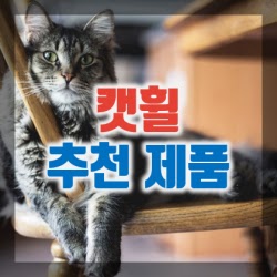1. 캣휠 추천 제품 인기순위 TOP 10 구매정보 & 리뷰(고양이 건강을 위해)