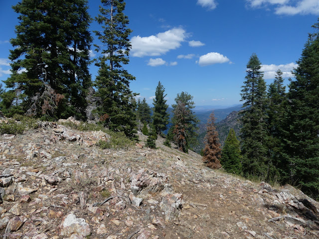 010: bare ridge and lots of valley