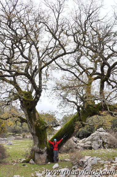 Llanos de Líbar