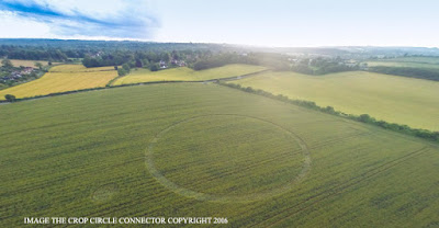 Crop circle UK 2016