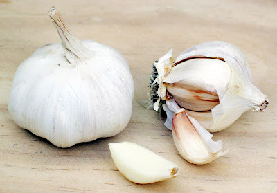 Bawang Putih (Garlic)