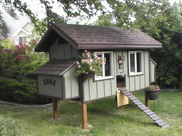 place to live, so I am building them a super deluxe chicken coop ...