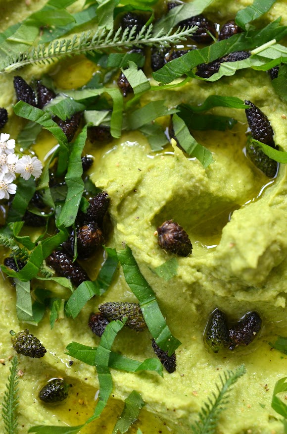 Bild von hellgrünem Hummus auf einem hellgrauen Teller angerichtet, garniert mit Spitzwegerichknospen und Wildkräutern.