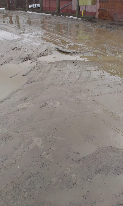 Strada Stadionului, cartierul Iţcani, municipiul Suceava