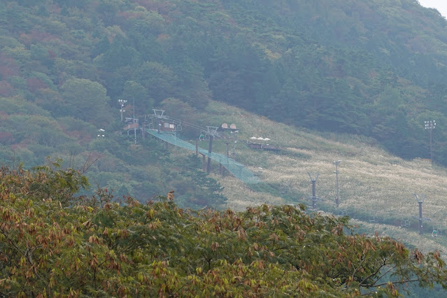 鳥取県西伯郡伯耆町小林　鳥取県道284号大山寺岸本線沿いの風景　桝水原