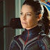 Evangeline Lilly acredita que experiência em Lost a ajuda nos filmes da Marvel