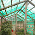 Jenis Green House