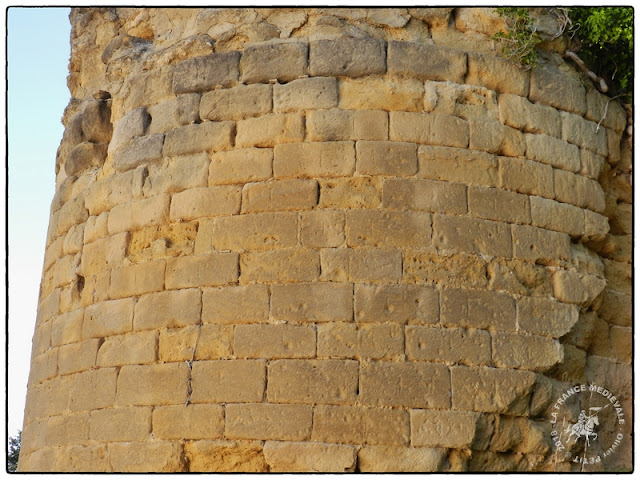 SAINT-ROMAN-DE-MALEGARDE (84) - L'ancien château-fort des  Templiers