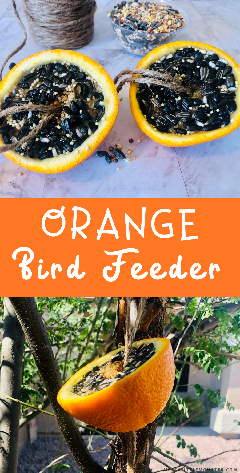 Orange bird feeder. Easy homemade DIY bird feeder recipe.