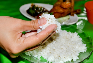 makan nasi